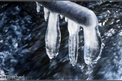 Elbschebach-Tal_-0187-Bearbeitet
