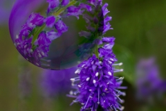 _MG_5055_3D-Kugel_blaueKerzenblume01