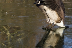 DSC00347a