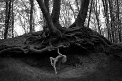 Loke-Wolfgang_20180604_1842_WLO_0777-1-copy