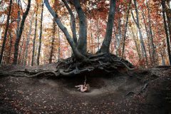 Loke-Wolfgang_20191011_1223_WLO_6228-2-copy