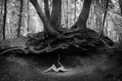 Loke-Wolfgang_20191011_1224_WLO_6247-2-copy