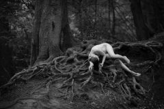 Loke-Wolfgang_20210526_1509_WLO_5969-1-copy