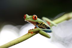 Loke-Wolfgang_20240522_1627_WLO_3893-1-copy