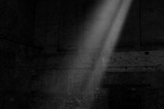 Loke-Wolfgang_20240719_1426_WLO_7258-2-copy