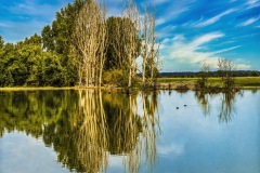 Bieslicher-Insel-Endfoto-1-von-1
