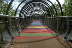 19_DSC4077-82_tonemapped_filtered