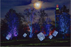 image005_klein