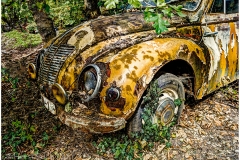 Autoskulpturenpark