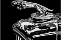 Jaguar_1