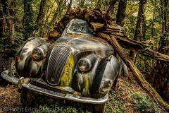 Oldtimer