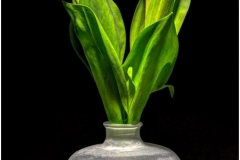 Vase_mit_Tulpen